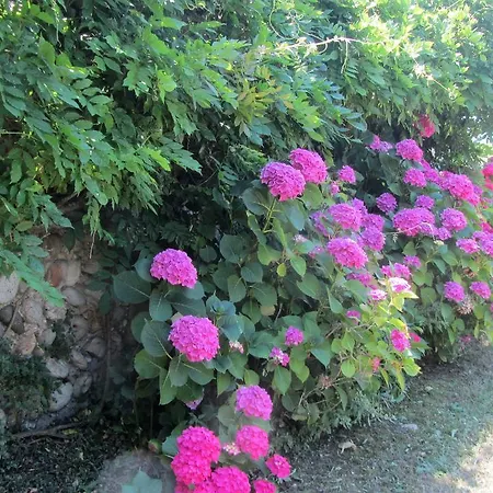 La Farella Bed & Breakfast Chanos-Curson